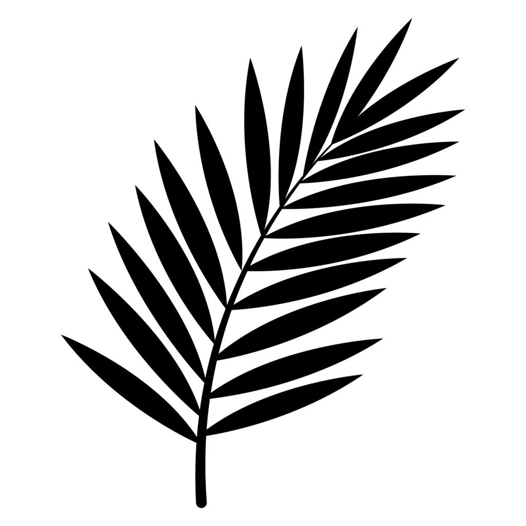 Palm frond silhouette SVG free tropical leaf design