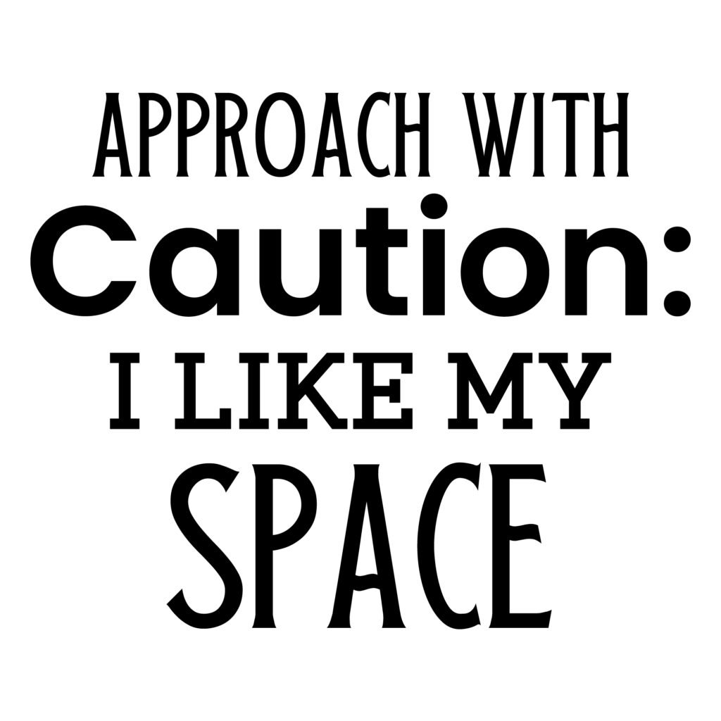 Approach with caution I like my space introvert SVG quote
